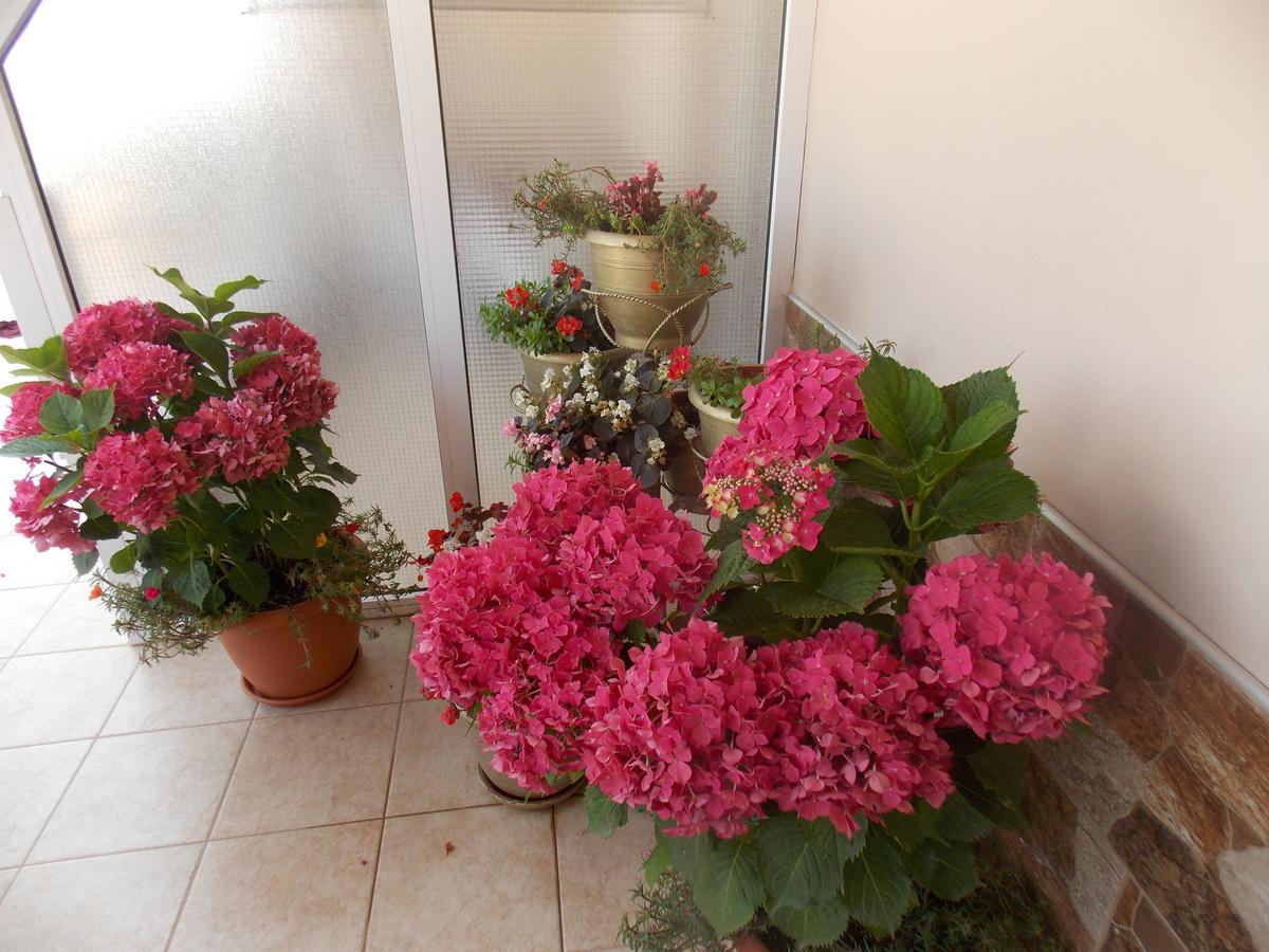 Afroditi Paralia Katerinis Exterior photo